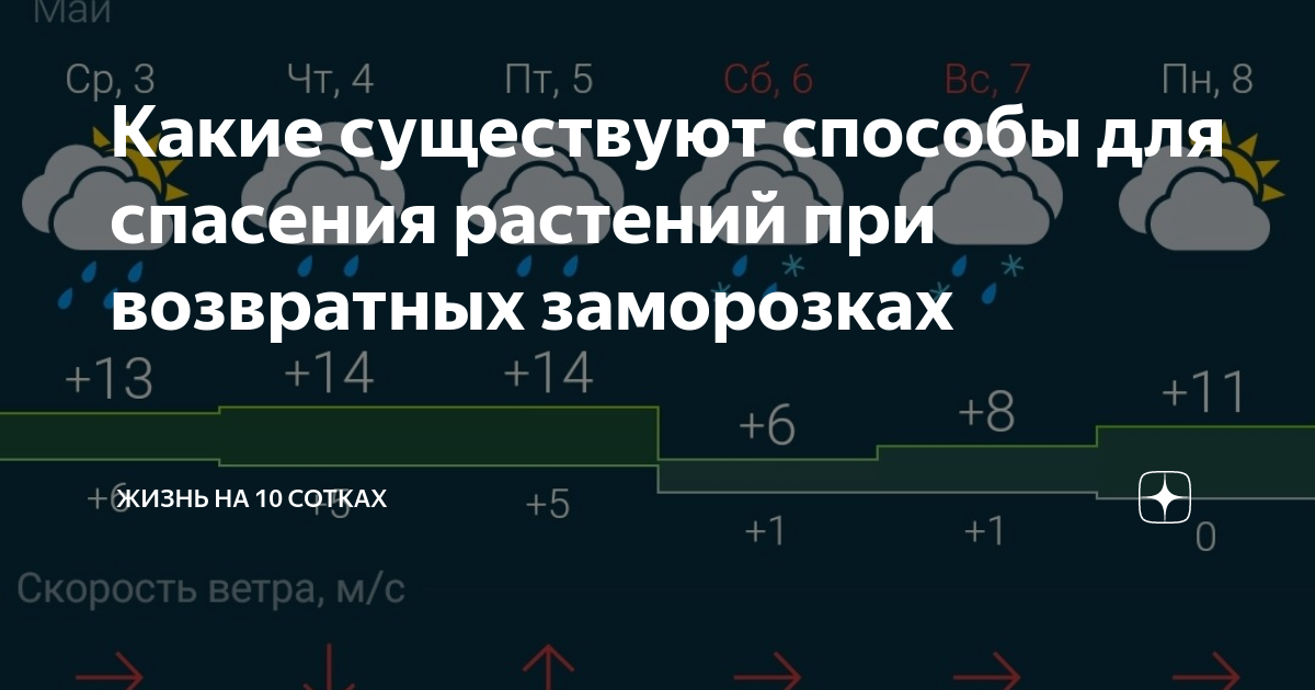 Возвратные заморозки в мае 2024. Возвратные заморозки карта. Возвратные заморозки гигачат.