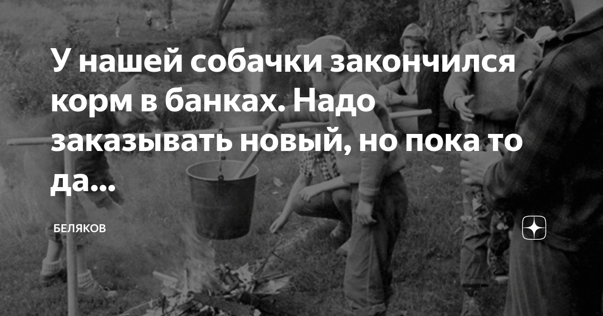 У нашей собачки закончился корм в банках. Надо заказывать новый, но ...
