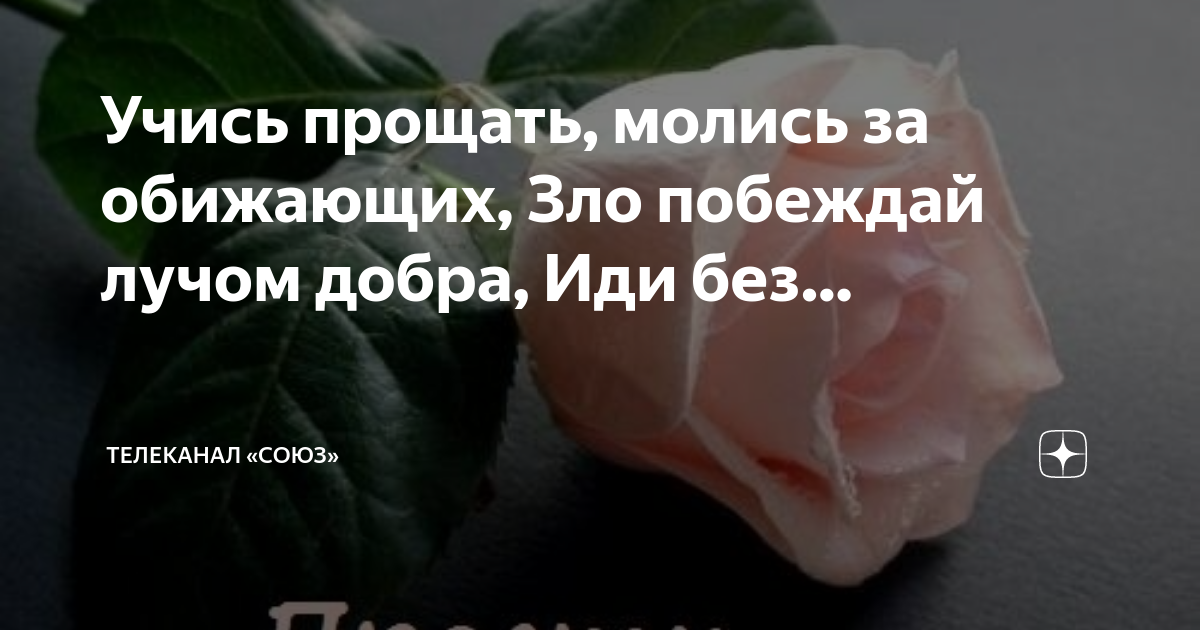 борис пастернак учись прощать стихотворение. учись прощать молись. стихотворение пастернака учись прощать молись за обижающих. стих учись прощать молись за обижающих. учись прощать молись.