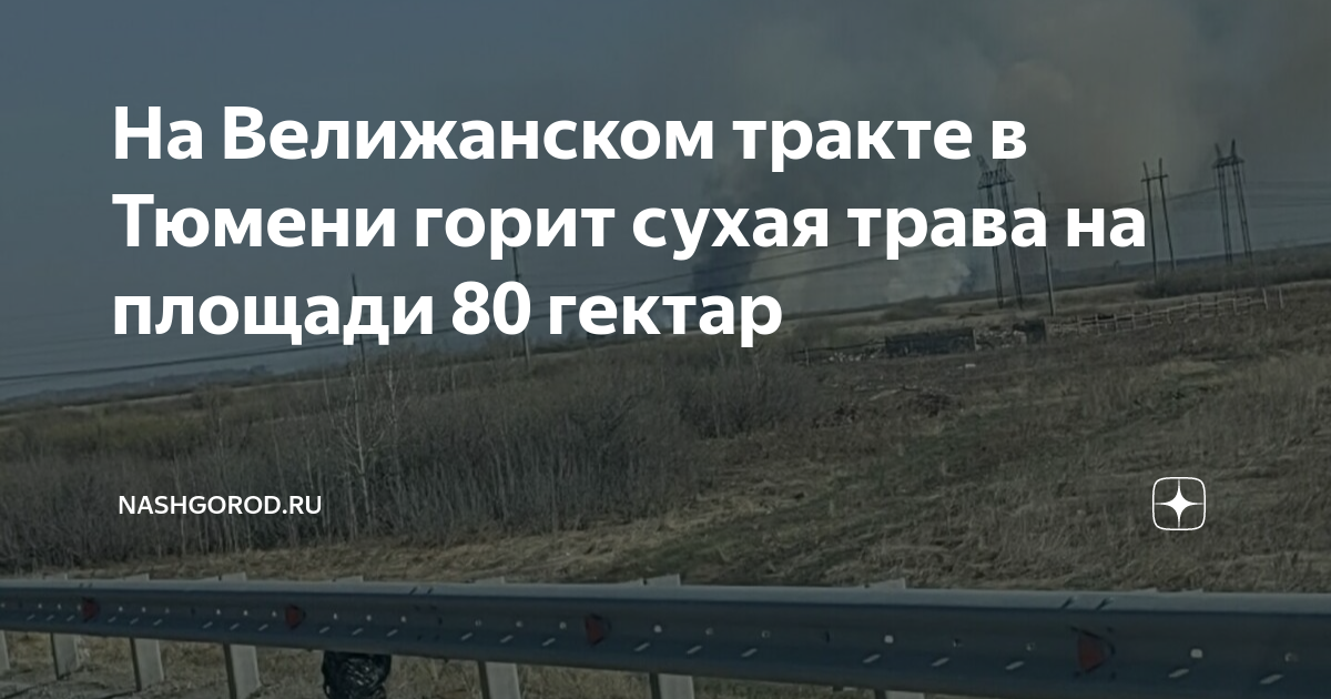 Давайте-ка посмотрим, что у нас тут. 2023 Александр Ивченко ВКонтакте