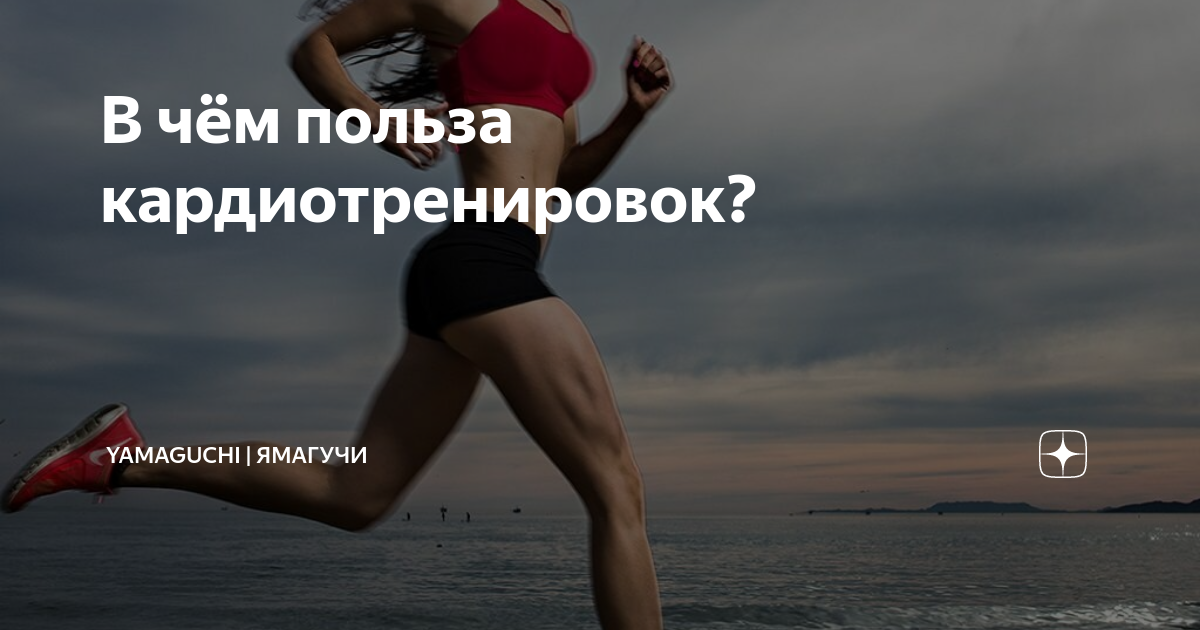 В чём польза кардиотренировок? | Yamaguchi | Ямагучи | Дзен
