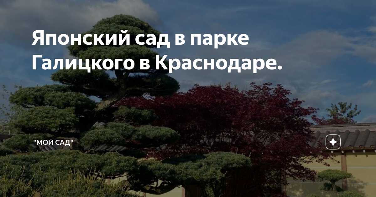 Билеты в японский сад краснодар парк галицкого