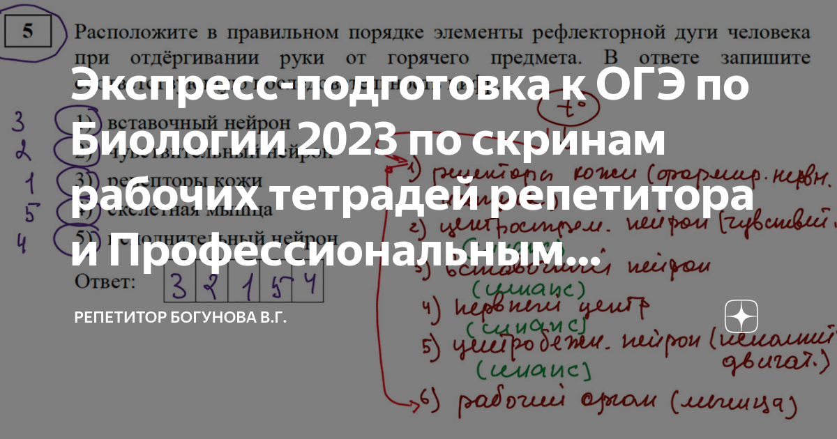 Презентация огэ по биологии 2023