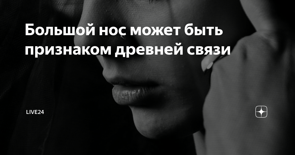 Большой нос может быть признаком древней связи | LIVE24 | Дзен