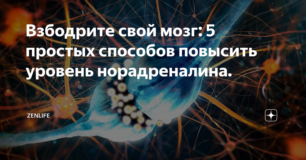 Взбодрите свой мозг: 5 простых способов повысить уровень норадреналина. |  ZenLife | Дзен