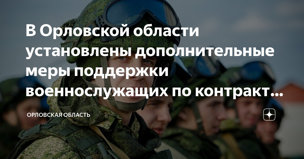 Контракт добровольца. Картинки к году добровольца 2023. Буклет для военнослужащих. Серебряные волонтеры. Город добровольских оплеуациия.