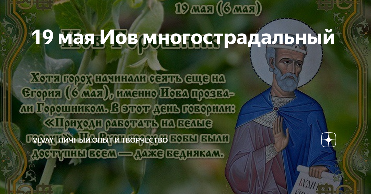 Иов огуречник 19 мая картинки
