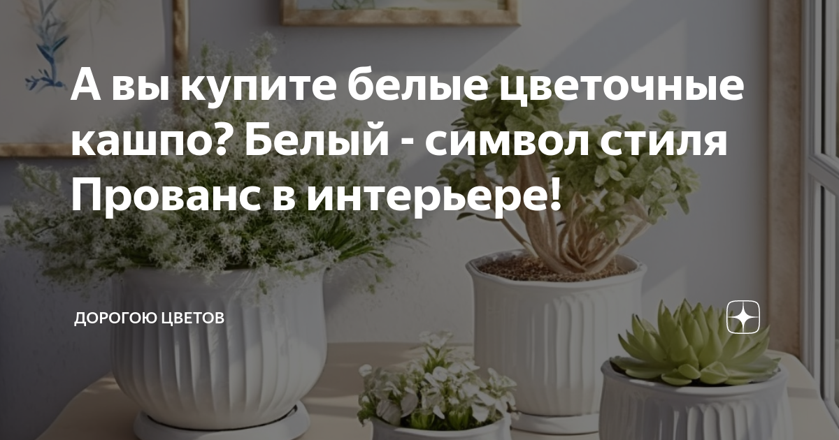 А вы купите белые цветочные кашпо? Белый - символ стиля Прованс в ...