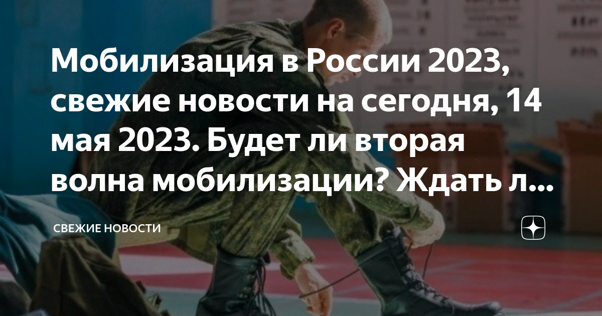 Будет ли вторая частичной мобилизации