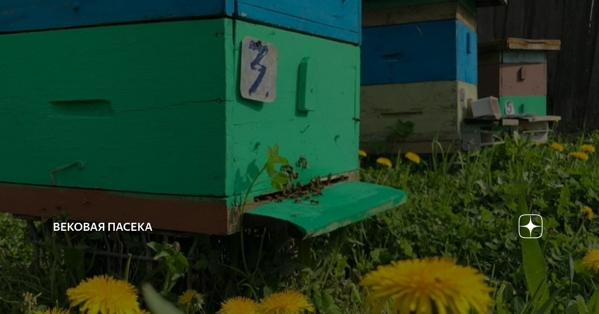 Пчеловод дата выхода 2024. Пчеловод погребных николай алексеевич. Мед пасека. Игрушечная пасека. Пчеловод дата выхода 2024.