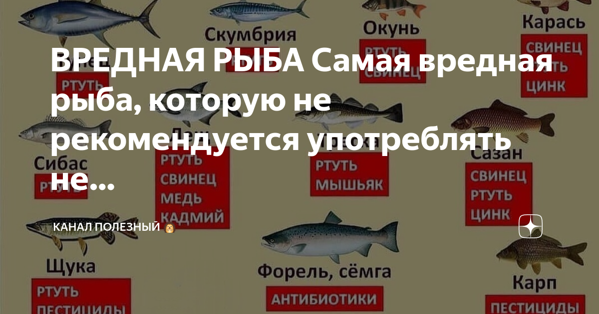 Белая рыба вред