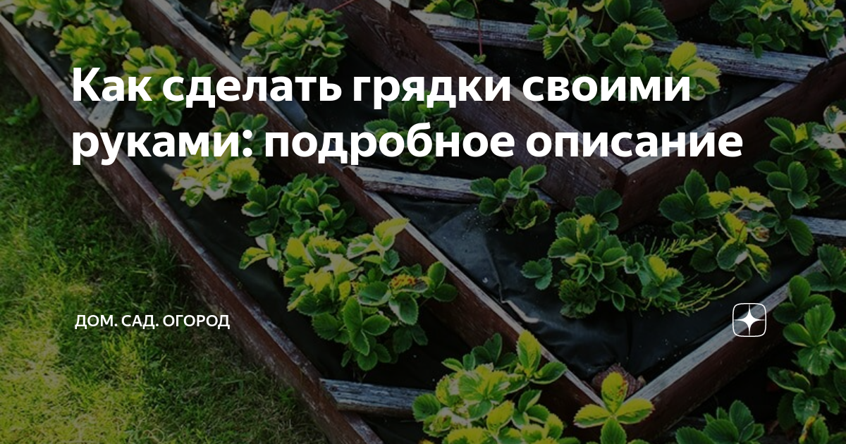 Декоративный огород на дачном участке: как сделать — схемы, идеи, дизайн, фото