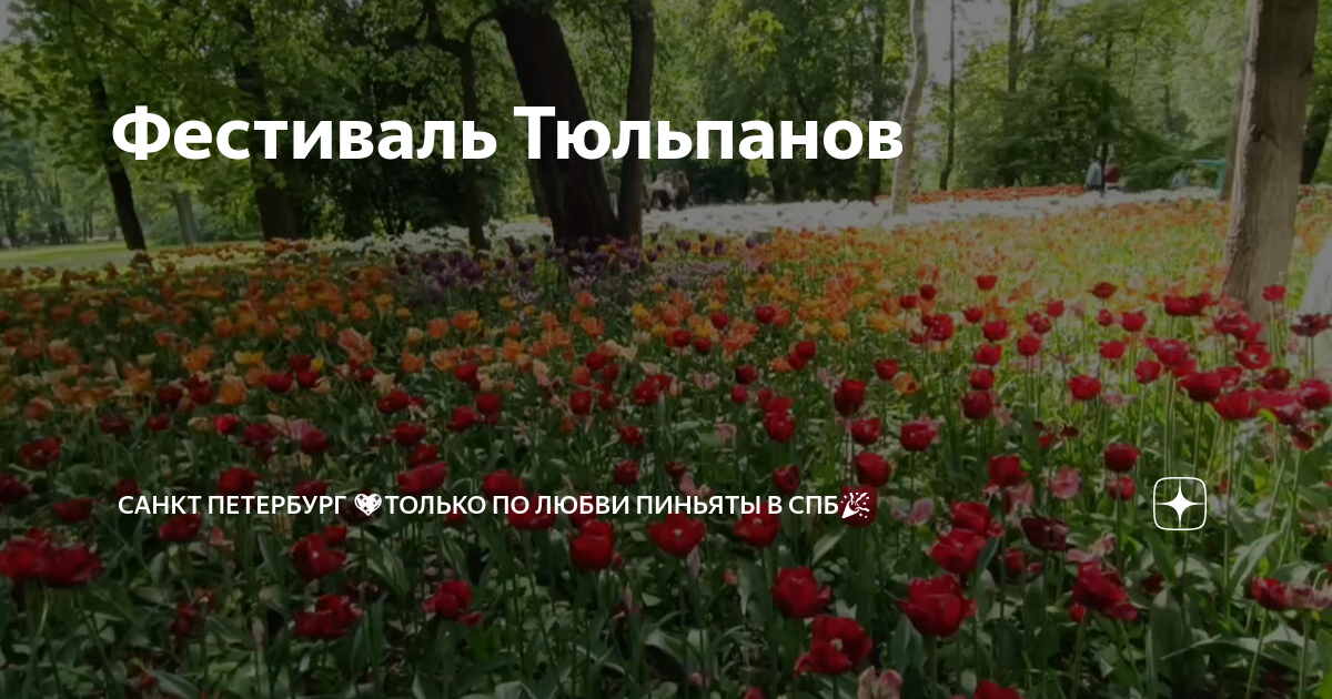 Фестиваль тюльпанов парк цветник Пятигорск