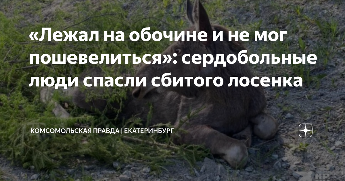 «Лежал на обочине и не мог пошевелиться»: сердобольные люди спасли ...