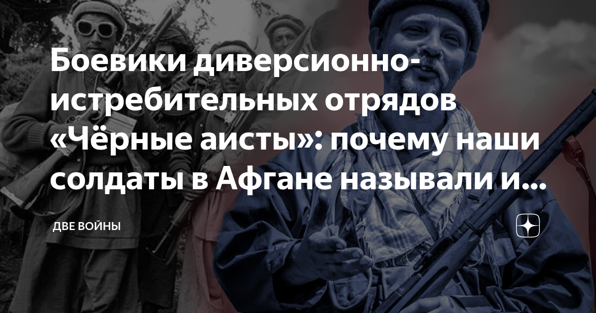 Боевики диверсионно-истребительных отрядов «Чёрные аисты»: почему наши ...