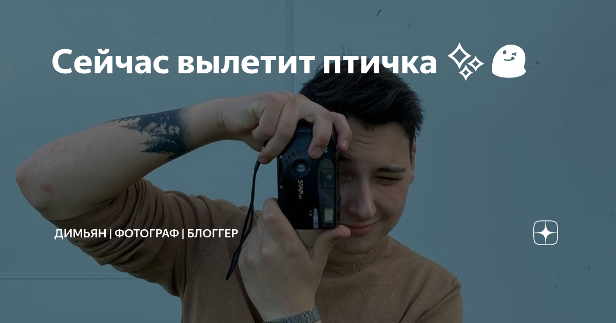 С мордора любовью блоггер дзен. Глухих блоггер. Птичка Ракшина блоггер. Фото Нара дзэн блогер.