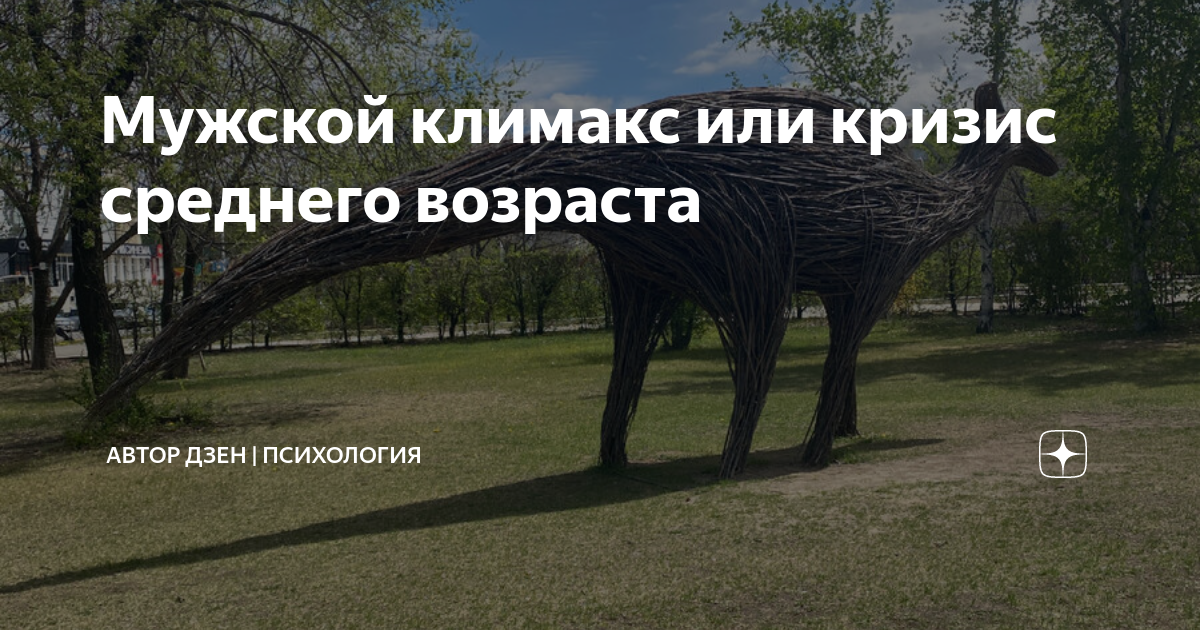 Мужской климакс или кризис среднего возраста | Автор ДЗЕН | РАССКАЗЫ | Дзен