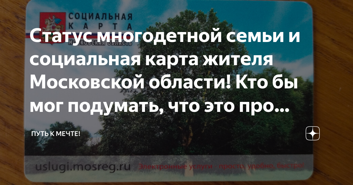 Социальная карта многодетным родителям в московской области