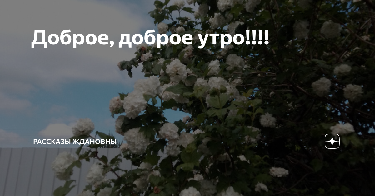 Читать рассказ ждановны вика
