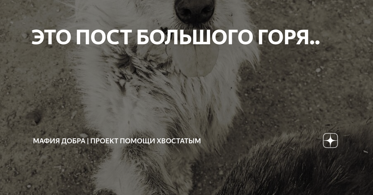 Больше не будет горя и слез рекорд. Деньги рекорд оркестр. Не высказать горя не выплакать слез. Говорят что время лечит стих. Больше не будет горя и слез рекорд.