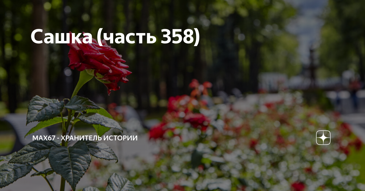 Макс67 хранитель истории сашка. Макс67 хранитель истории сашка