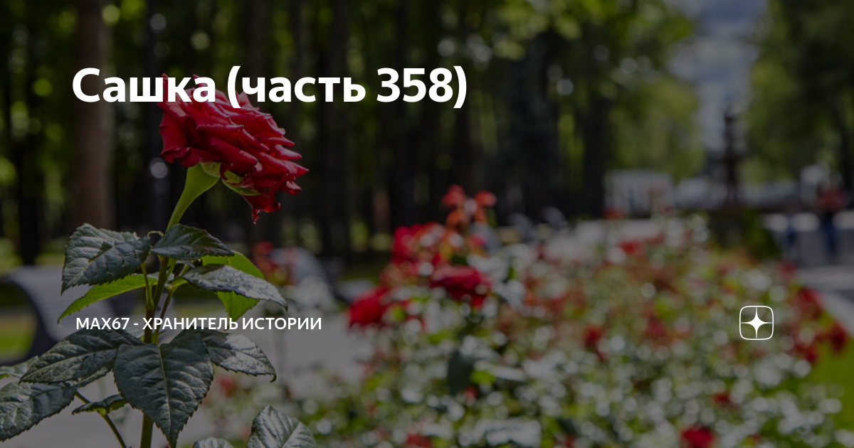 Мах 67 хранитель истории сашка 926