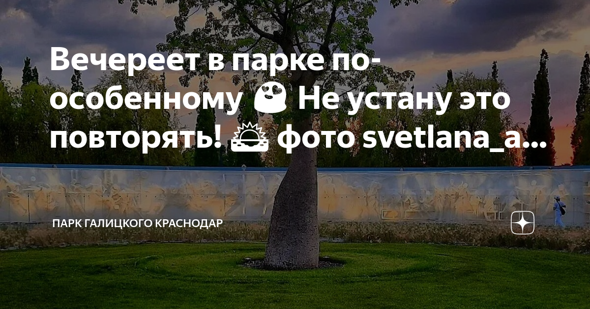 Локации в парке галицкого краснодар. Мариинский сад Санкт-Петербург. Сквер во дворе Мариинского дворца. Кладбище в Нагаево Уфа. Мариинский сад СПБ.