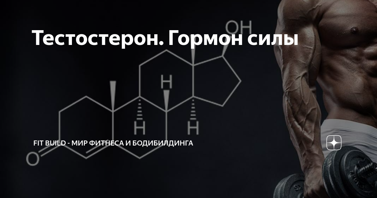 Проект на тему бодибилдинг