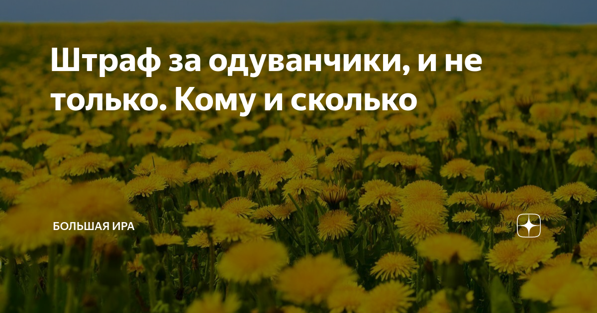 Рабочие должны были посадить 680 деревьев они перевыполнили план на 25 сколько деревьев посадили