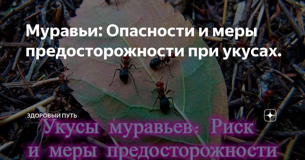 Местная реакция на укус насекомого карта вызова скорой медицинской помощи