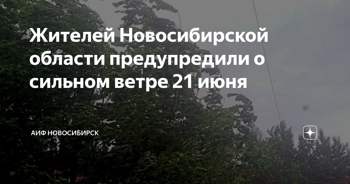 Дул сильный ветер схема предложения