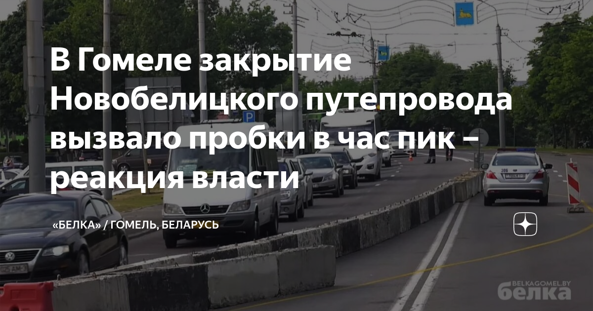 Новобелица проект гомель