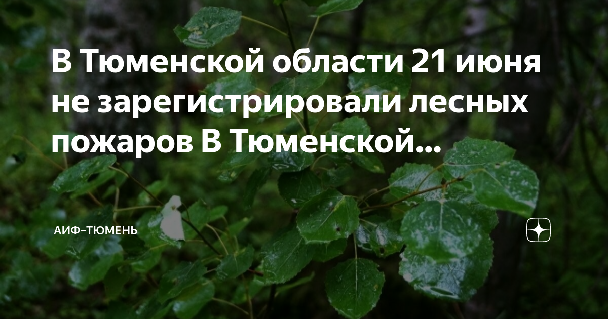 Лесные пожары тюменская область карта