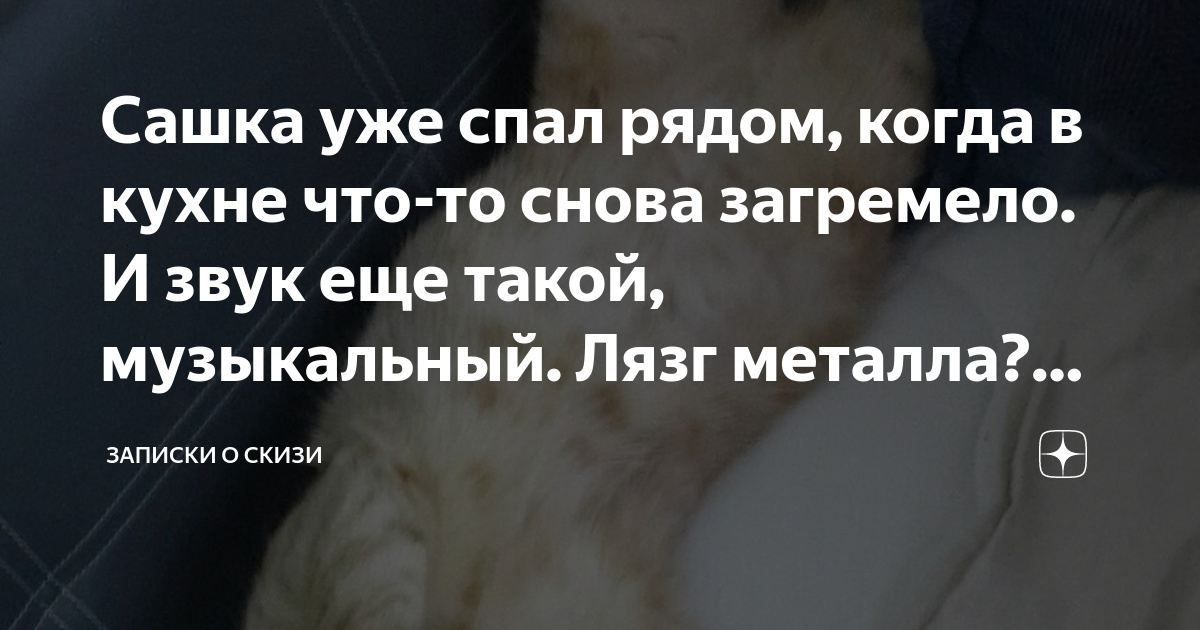 Сашка уже спал рядом, когда в кухне что-то снова загремело. И звук еще ...