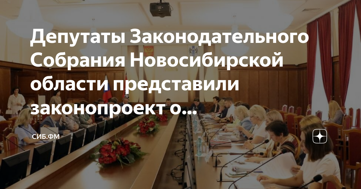 Проекты в молодежный парламент