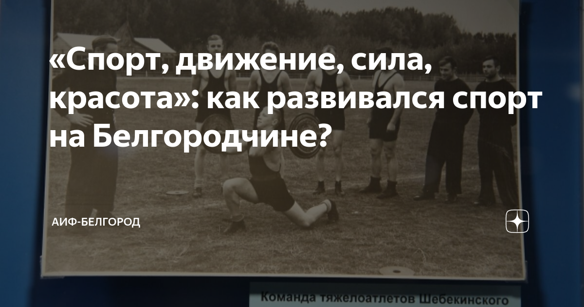 Диаграмма белгород музей