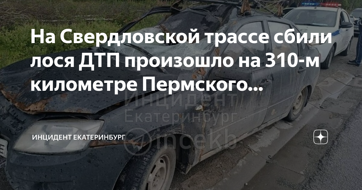 Проект трассы пермь екатеринбург