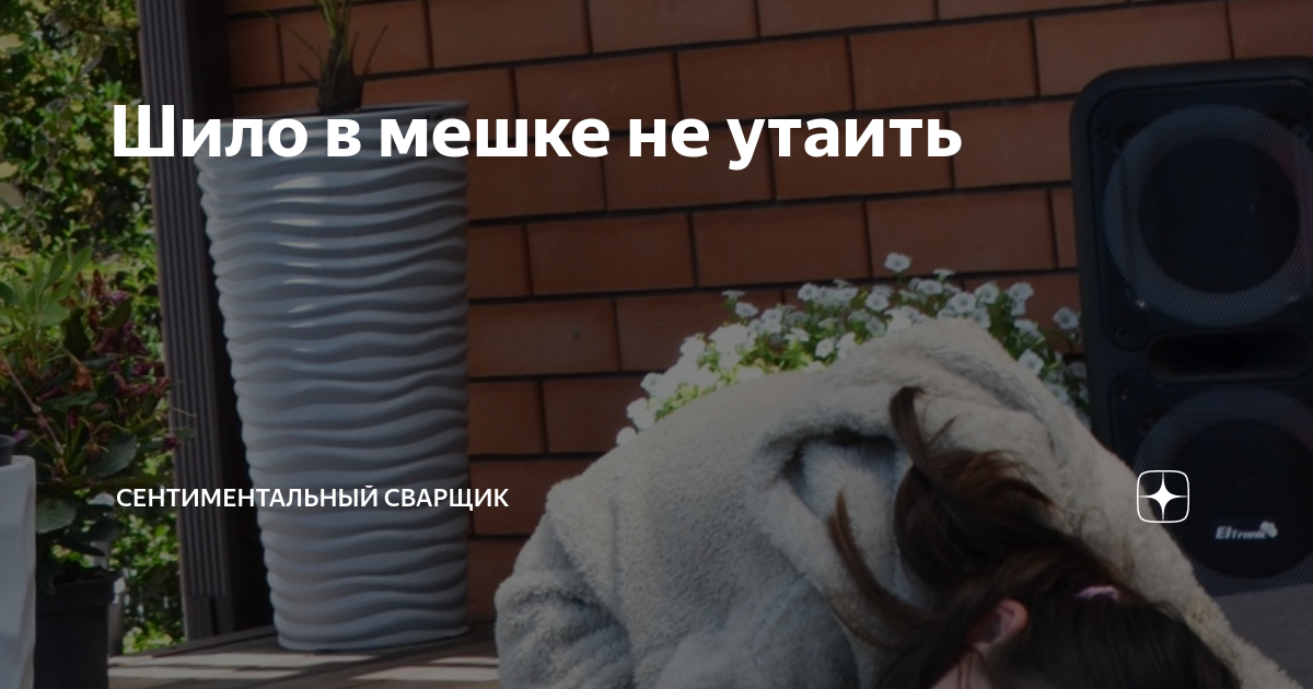 Шило в мешке не утаить | Виктор Присяжной. В соавторстве с женой | Дзен