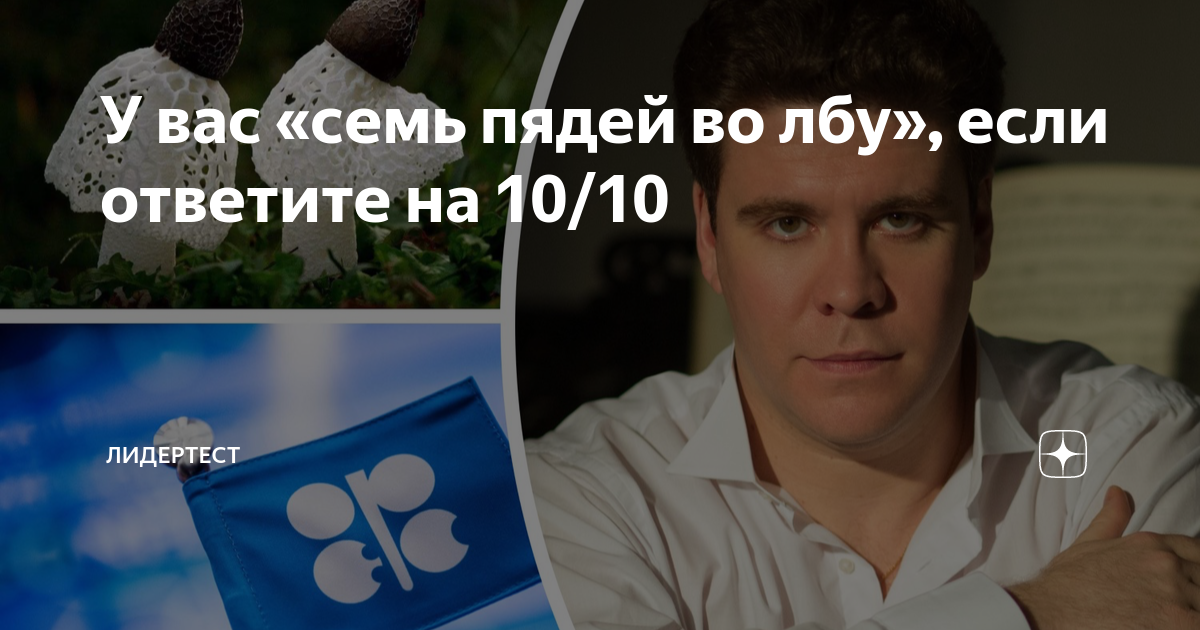 У вас «семь пядей во лбу», если ответите на 10/10 | ЛидерТест | Дзен