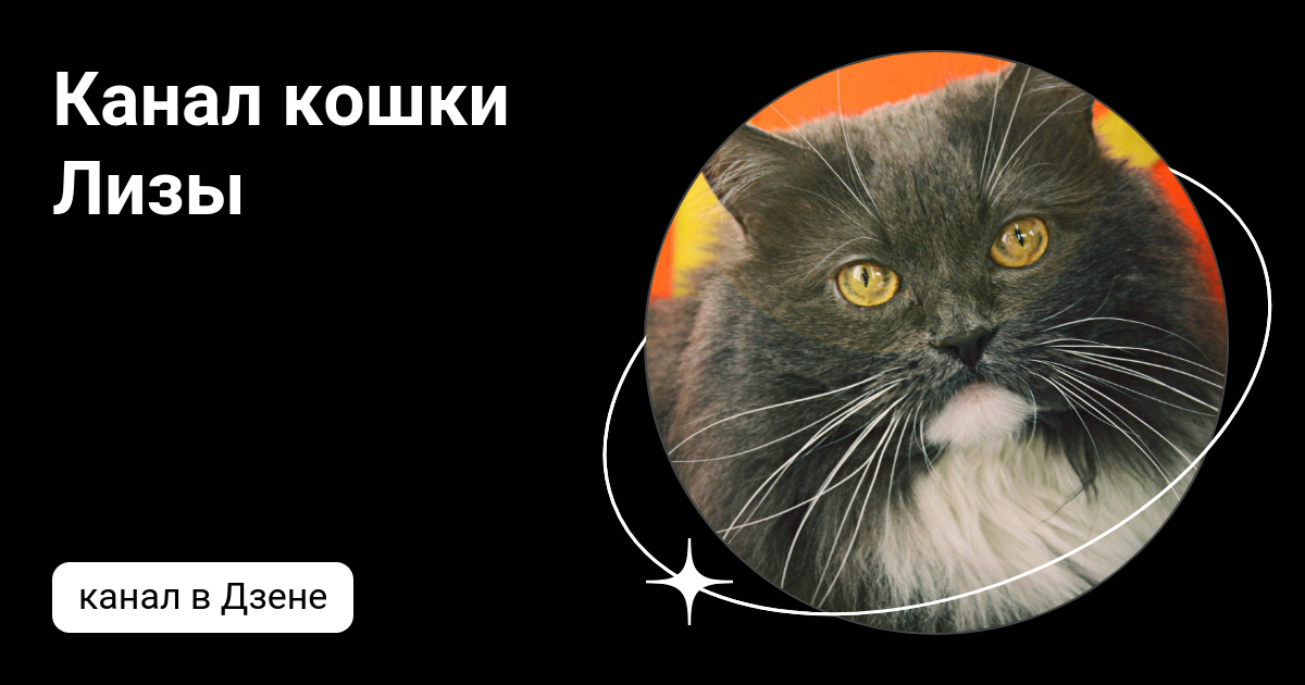 Канал cat