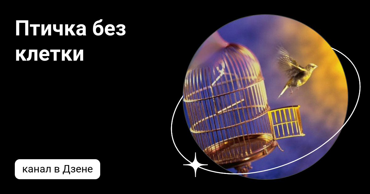 птичка без клетки. птичка без клетки. птичка без клетки. птичка без клетки. клетка для канарейки винтаж.