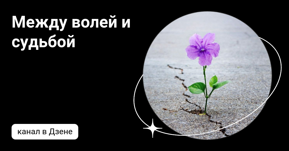 повороты судьбы дзен новый рассказ