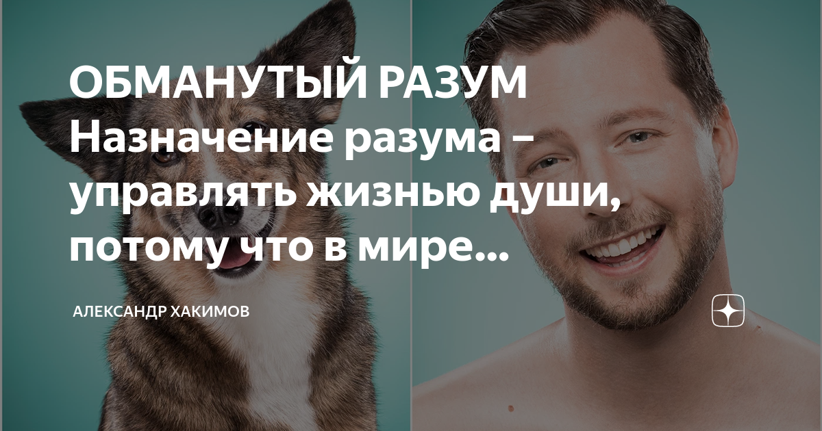 Обмани разум. Интуиция чувство. Иллюзии для мозга. Обмани разум. Обмани разум.