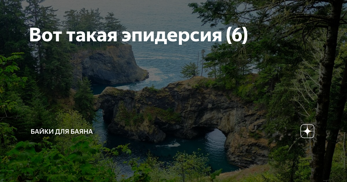 Эпидерсия это простыми. Вот такая эпидерсия Настасья Павловна. Эпидерсия. Эпидерсия это что такое простыми словами.