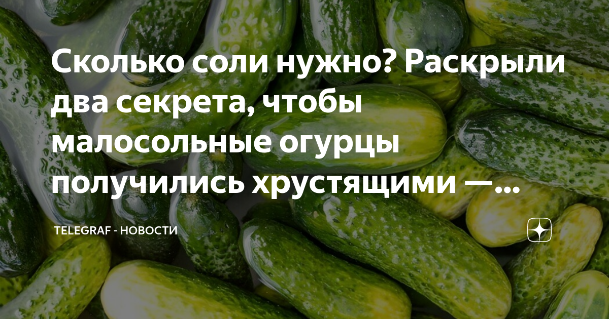 Сколько соли надо на малосольные огурцы. Сколько выходят огурцы.