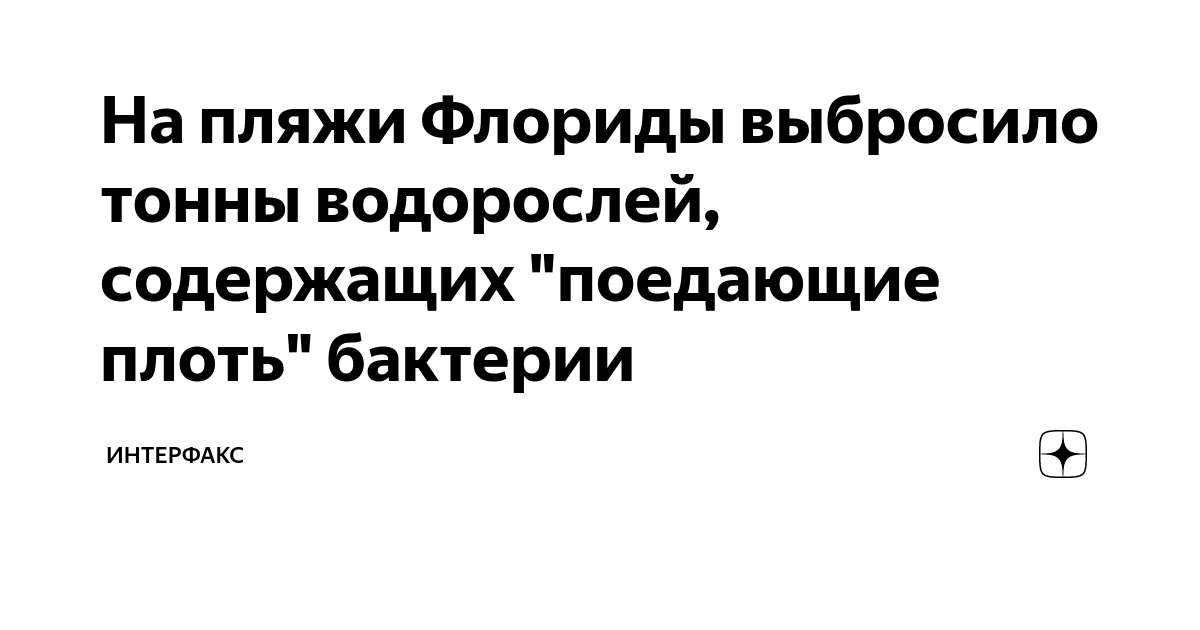 На пляжи Флориды выбросило тонны водорослей, содержащих "поедающие ...