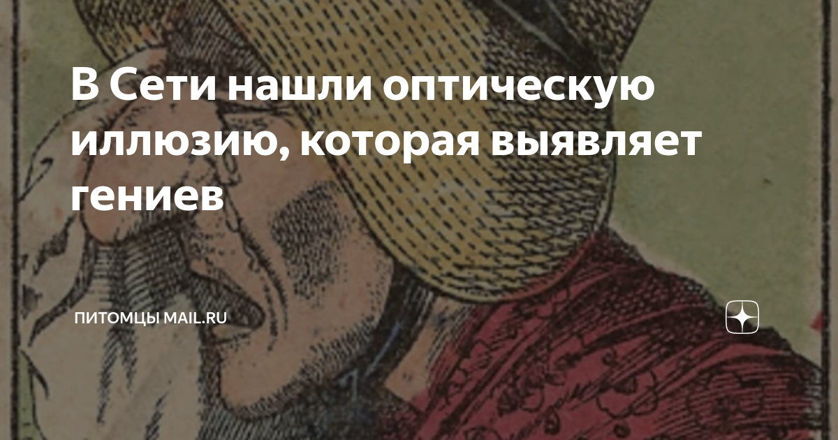 В Сети нашли оптическую иллюзию, которая выявляет гениев | Питомцы Mail ...
