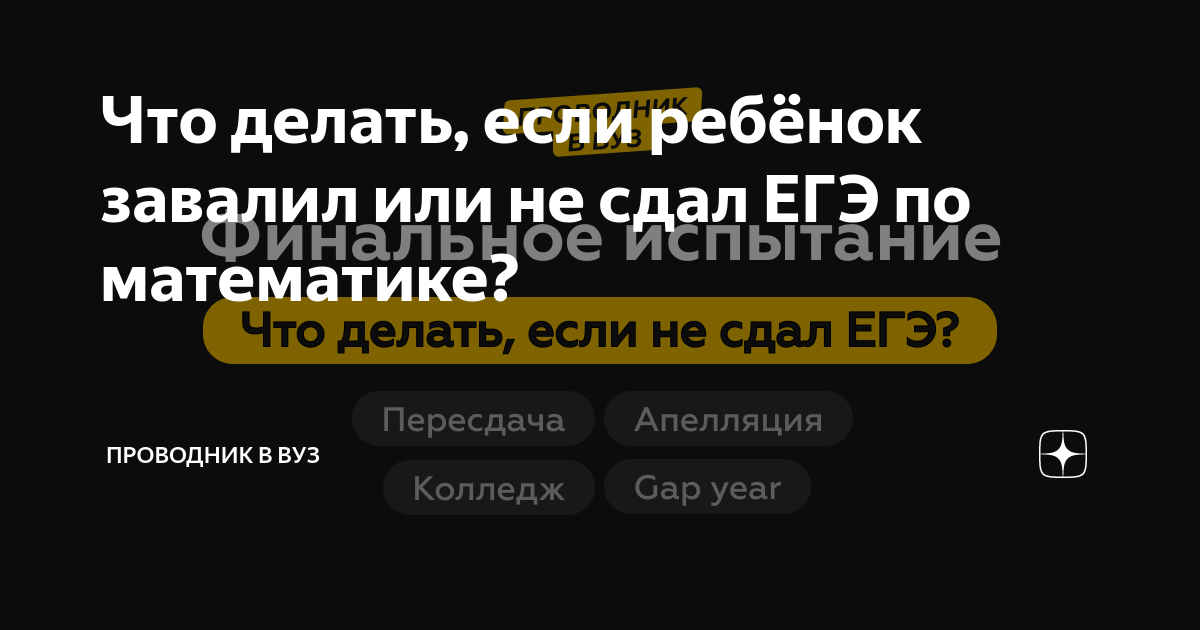 Не сдал ЕГЭ. Что делать?