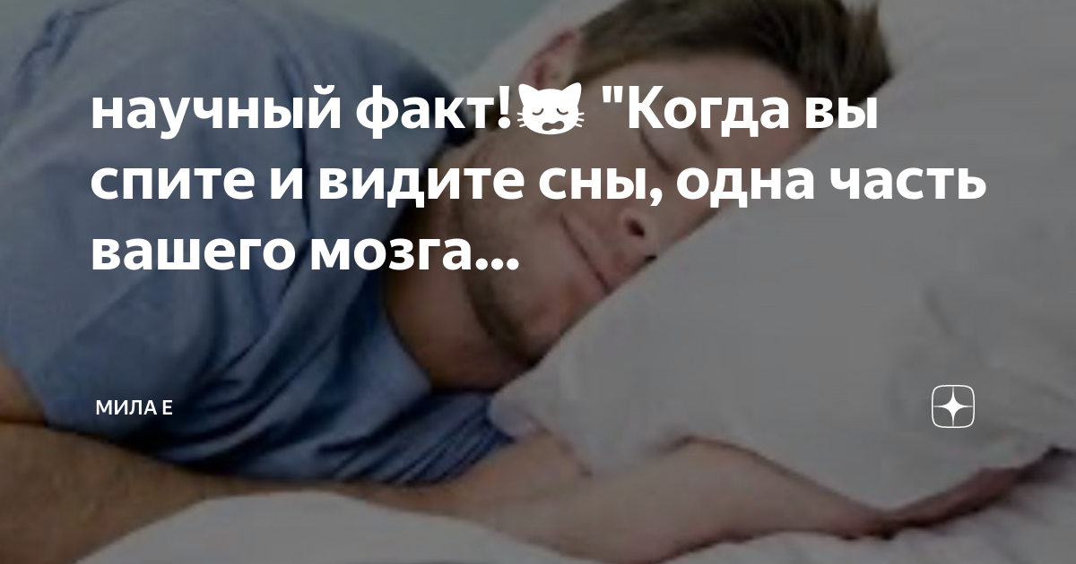 Когда снятся сны мозг отдыхает. Значение сна для организма. Когда снятся сны мозг. Мозг во время сна. Тело человека во время сна.
