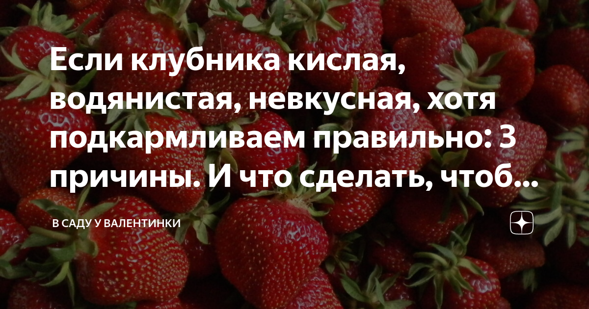 Клубника почему мало ягод. Клубника почему мало ягод. Клубника растет. Клубника почему мало ягод. Клубника.